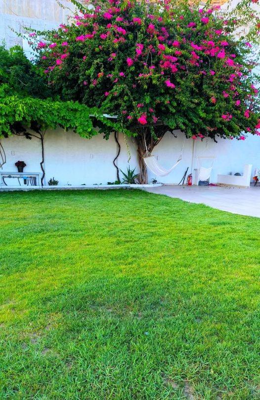 Aparthotel Alta Vista Naxos Naxos City